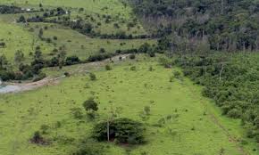 PEQUENA PROPRIEDADE RURAL: A IMPENHORABILIDADE RECONHECIDA PELO STF