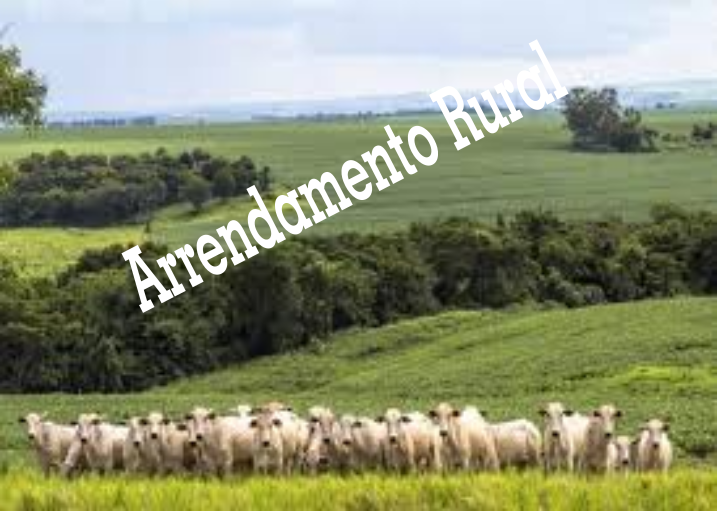 ARRENDAMENTO RURAL: PRAZO E RENOVAÇÃO